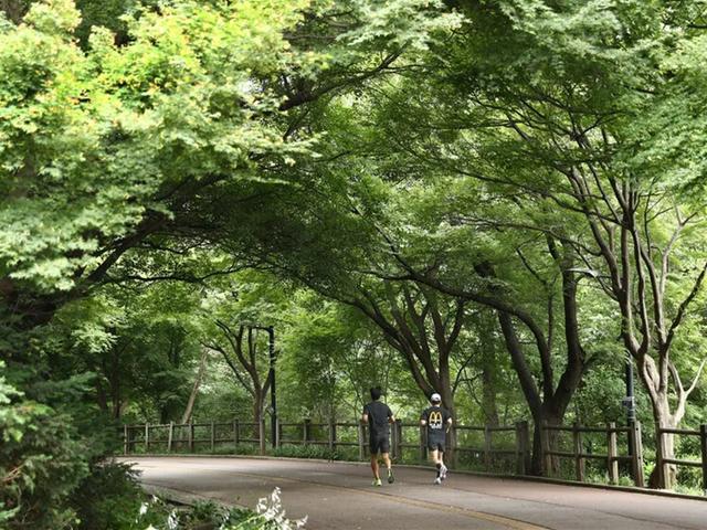 여기가 도심 한복판이라고?…매력적인 서울의 러닝 코스 4곳