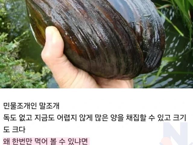 독은 없지만.. 살면서 딱 1번만 먹을 수 있다는 음식