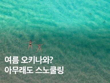 오키나와 스노쿨링 투어 스팟 추천 푸른동굴 거북이 포인트는?
