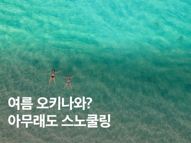 오키나와 스노쿨링 투어 스팟 추천 푸른동굴 거북이 포인트는?