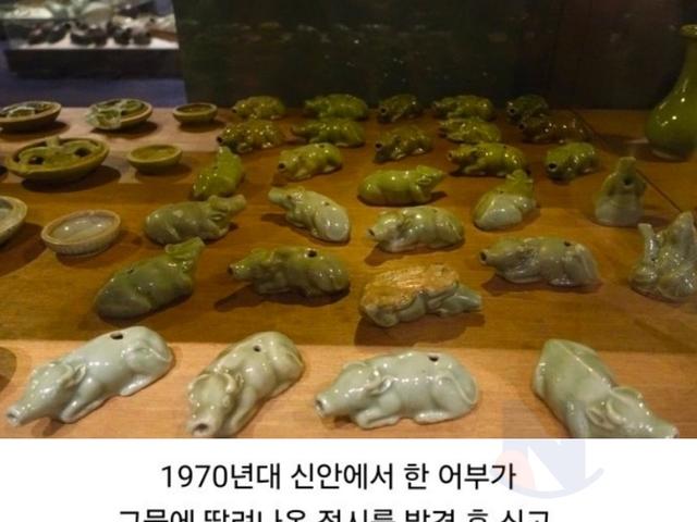 650년만에 바다에서 발견했는데 한국만 신난 상황