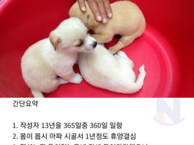 시골로 귀농하면 안되는 <strong>진짜</strong>이유 ㄷㄷㄷ