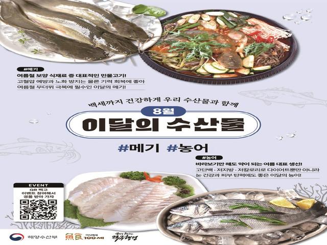 여름 보양식 '메기'와 제철 맞은 '농어' [8월 수산물]