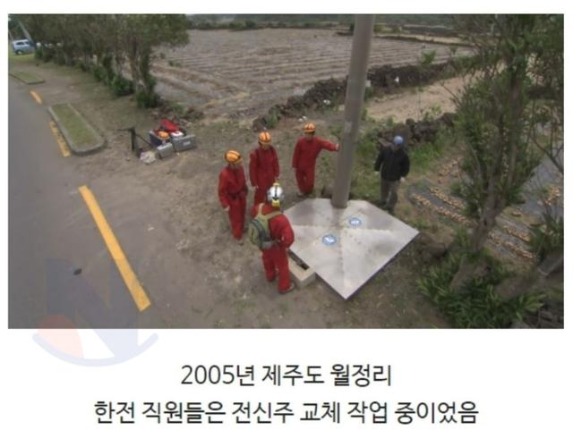 눈이 퇴화된 물고기가 <strong>발견</strong>된 제주도의 동굴