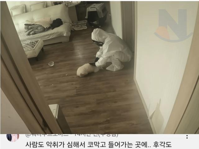 <strong>고독사</strong> 현장에서 누군가 오기만을 기다린 강아지...jpg