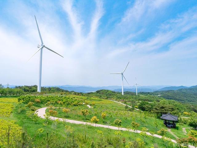 경주 여름 여행 가볼만한곳  :: 송대말등대, 경주 원더스페이스, 경주 풍력발전(바람의언덕)