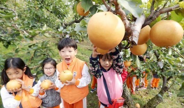 신종근의 'K-리큐르' 이야기…'갈아만든 배'로 술을 빚다