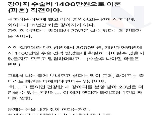 강아지 수술비 1,400만원 때문에 이혼 직전인 <strong>공무원</strong>