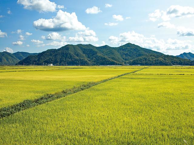 병산서원, 한여름의 정취를 느끼다