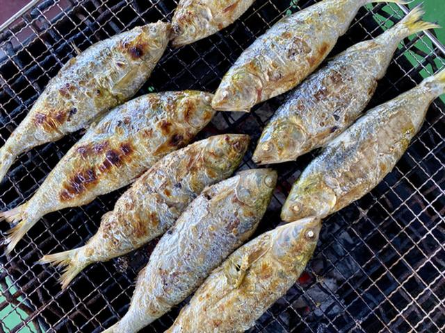 생선에서 카망베르 맛이 난다…8월의 햇전어