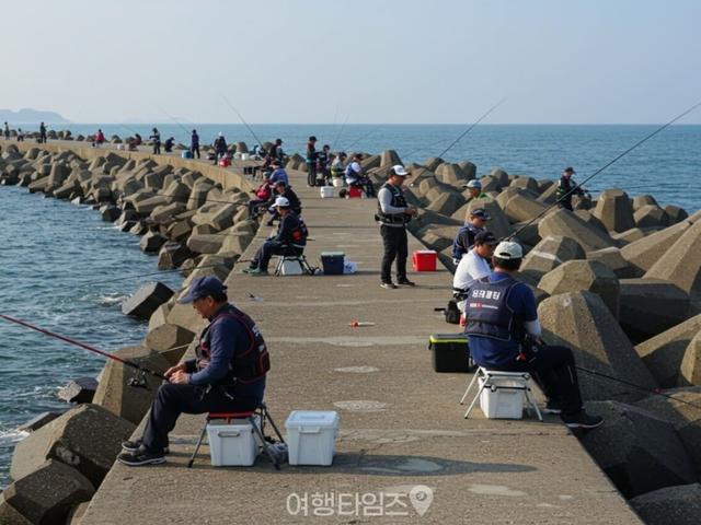 "주꾸미에 라면까지..이게 여행이죠" 아빠들이 제일 신나는 9월 주꾸미 낚시 포인트 Best3