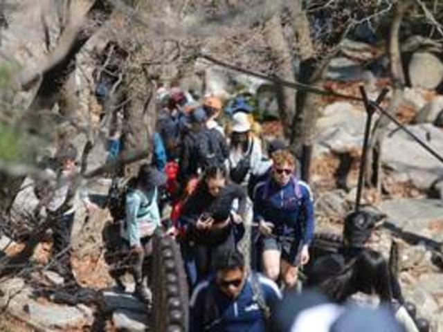 서울 갈만한 곳, 외국인이 더 좋아하는 서울 여행지 TOP 4