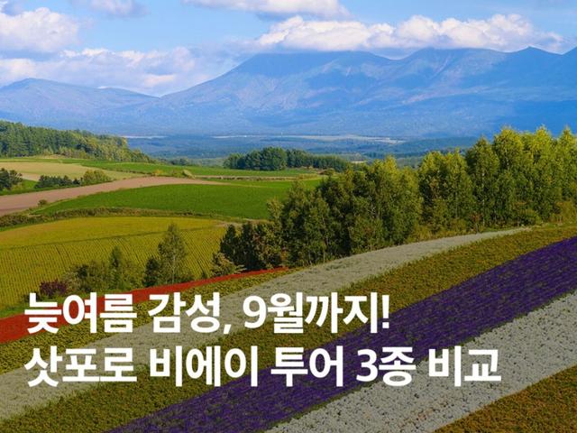 9월까지 가는 삿포로 비에이 버스투어 3종 비교 총정리