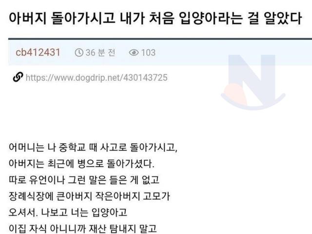 25<strong>살</strong>에 입양아인줄 알게되었던 사람 후기