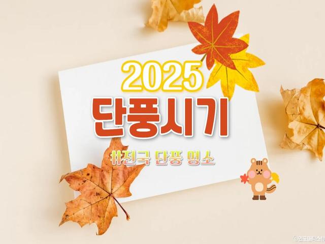2025 단풍 시기, 한 눈에 살펴보는 전국 가을 여행지 [+단풍 명소 & 시기까지]