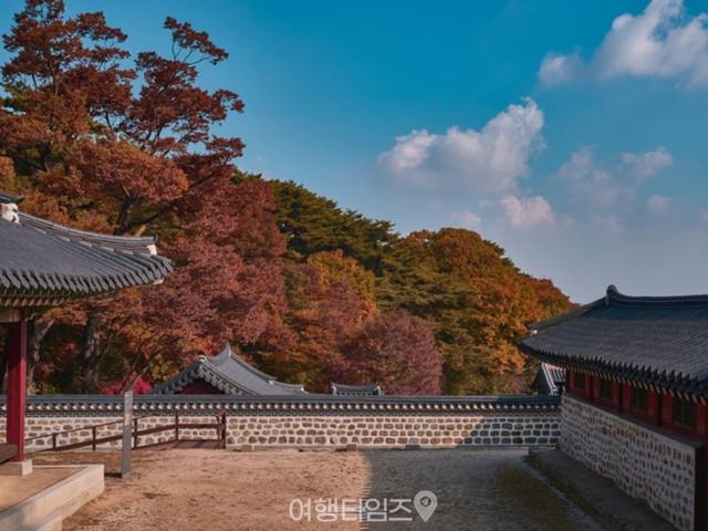 "12km 성곽을 따라 단풍길이 생겼어요" 눈으로 담기에도 벅찬 가을 단풍 명소