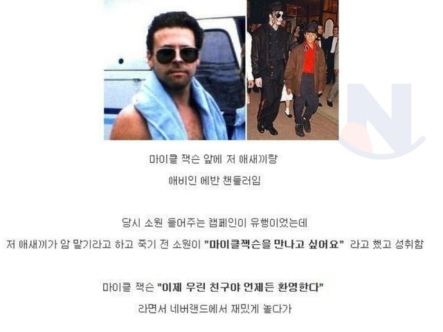 <strong>인류</strong> 최고의 쓰레기 중 한명