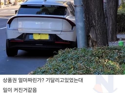 아니 난 그냥 <strong>번호판</strong>가림 신고만 했을뿐인데....