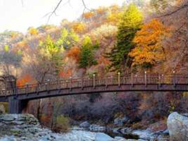 “이곳 모르면 가을 반납!” 10월 가을 여행지 추천 5