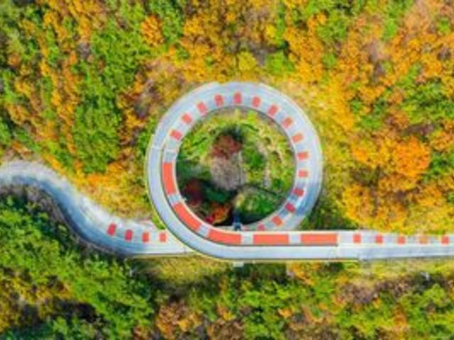 “360도 회전하는 명품 단풍 드라이브 코스” 국내 단 하나뿐인 <strong>충남</strong> 청양 여행지