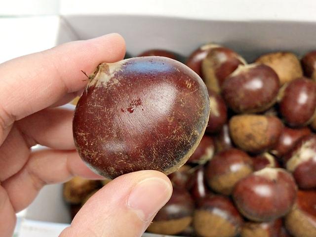밤 껍질 이렇게 하면 통째로 쏙- 벗겨져요!