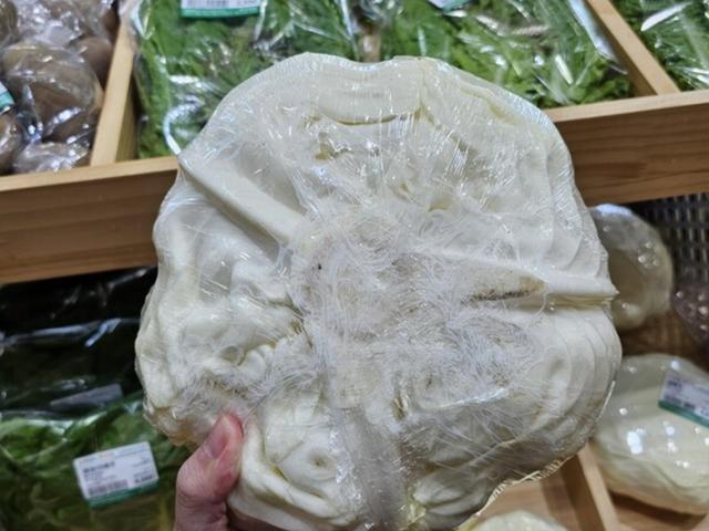 "암세포를 통째로 뽑는다는 음식" 공통점 <strong>3</strong>가지