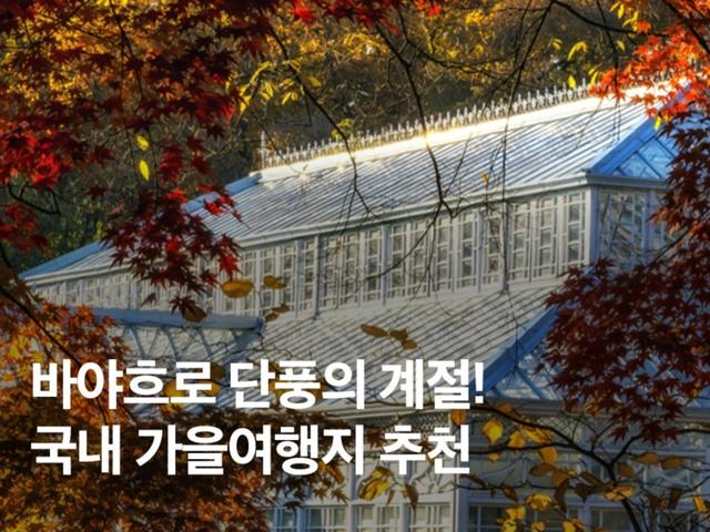 바야흐로 단풍의 계절! 국내 가을 여행지 BEST 6