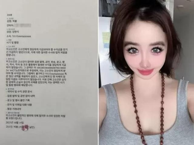 ‘2NE1 활동중단’ 박봄, 양현석 고소... “64272e조 수익금 미지급”