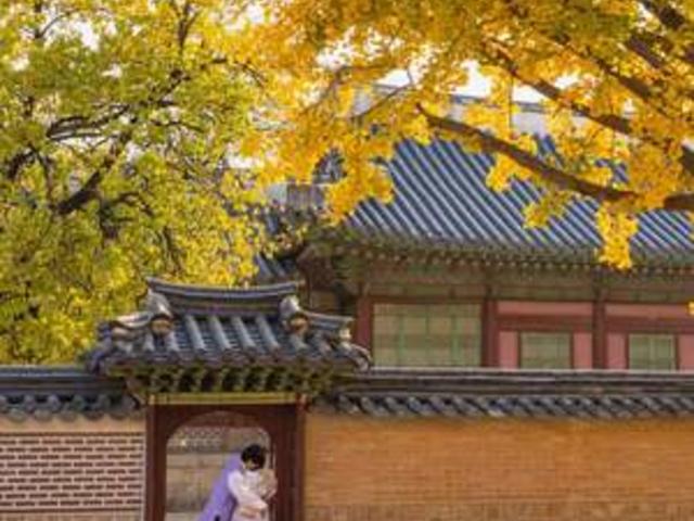 “SNS 검색량 급증!” 인기 폭발 서울 단풍 명소 베스트 10