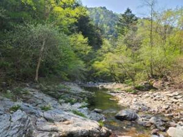 오색단풍 명품 숲길 ‘5선’ 굳이 멀리 갈 필요 있나?