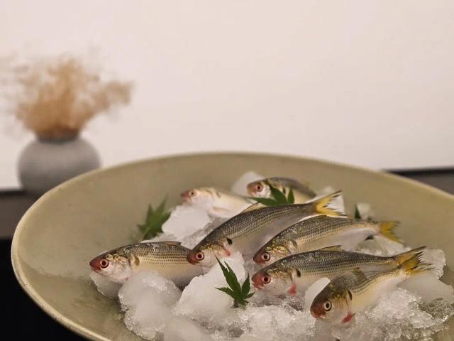 스시 오마카세 신상 맛집 BEST 5 – 손끝으로 빚은 미각의 예술