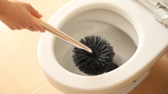 "기사 부르지 마세요..." 막힌 변기, 뚫어뻥 없이 쉽게 해결하는 방법 알려드립니다