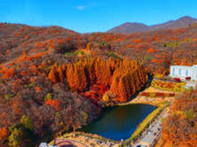 "한국의 캐나다 공원이라 부를만하네"... 의외로 안 알려져 있는 이국적인 단풍길