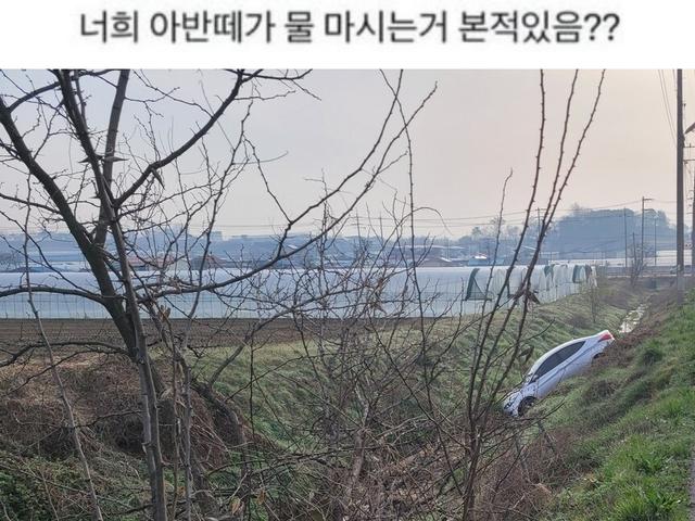 너네 아반떼가 <strong>물</strong>마시는거 봤어?