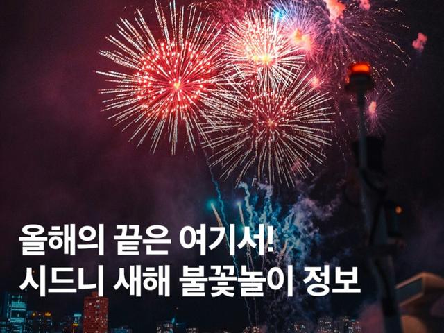2025 시드니 새해 <strong>불꽃놀이</strong> 팁, 명당 위치 크루즈 총정리