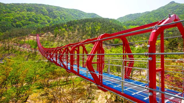 "다른 곳과는 차원이 다르다"... 70개 육각 터널로 만들어진 211m 무료 출렁다리