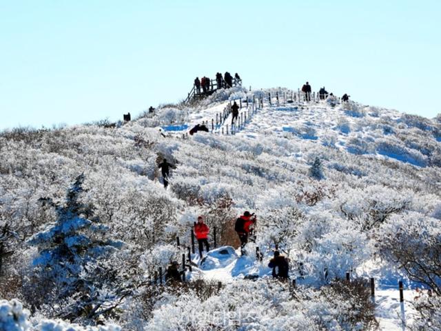 "설경하면 여기 3곳은 꼭 포함되죠" 국내 겨울 설경으로 빼놓을 수 없는 3대 산행지