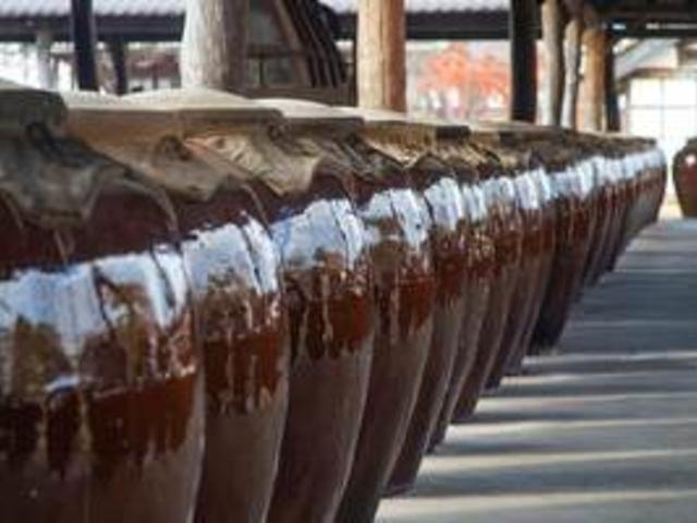 “4,000원에 시음 무제한?” 현대판 와이너리 체험 경기도 양조장 TOP 6