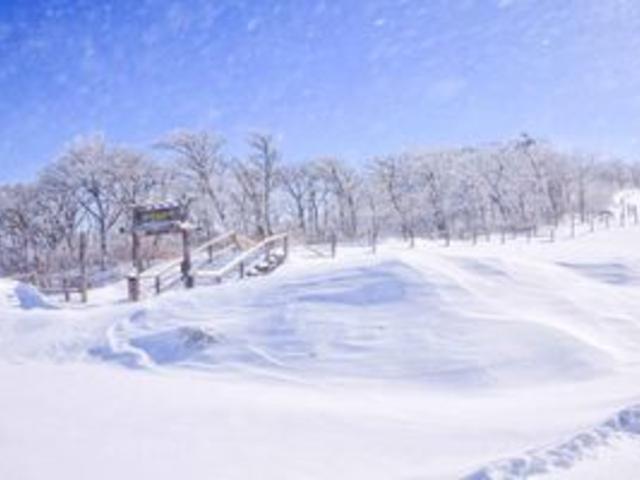 “식었던 마음도 다시 뛰었어요” 크리스마스 이브 데이트 국내 여행지 추천