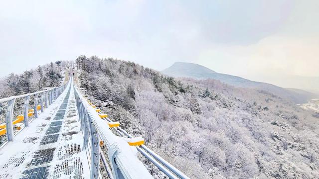 "서울 근교에서 백두대간을 본다고?"... KTX 개통 1시간대로 가는 설경 명소