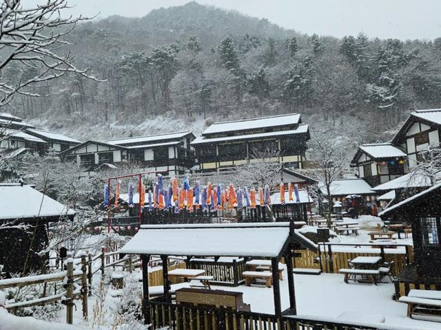 "여권 없이 일본에 온 느낌이에요" 한국이지만 일본 여행 느낌 완벽히 내는 국내 겨울 여행지