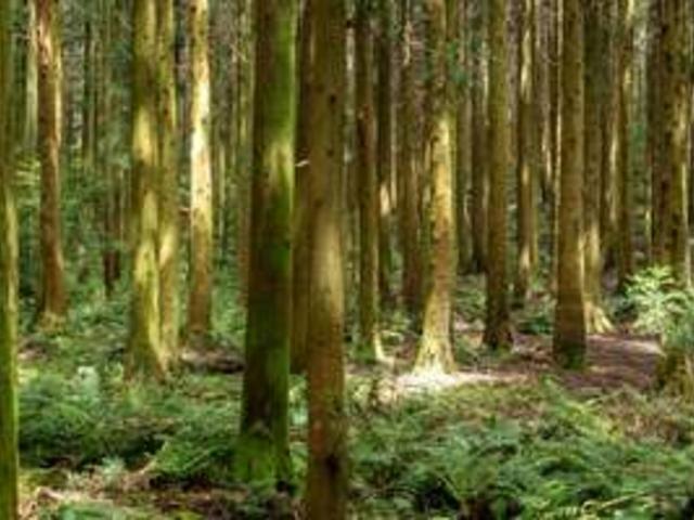 “내 생각을 확실하게 결정하고 싶을 때” 남자 혼자 여행하기 좋은 곳 국내 Best 4