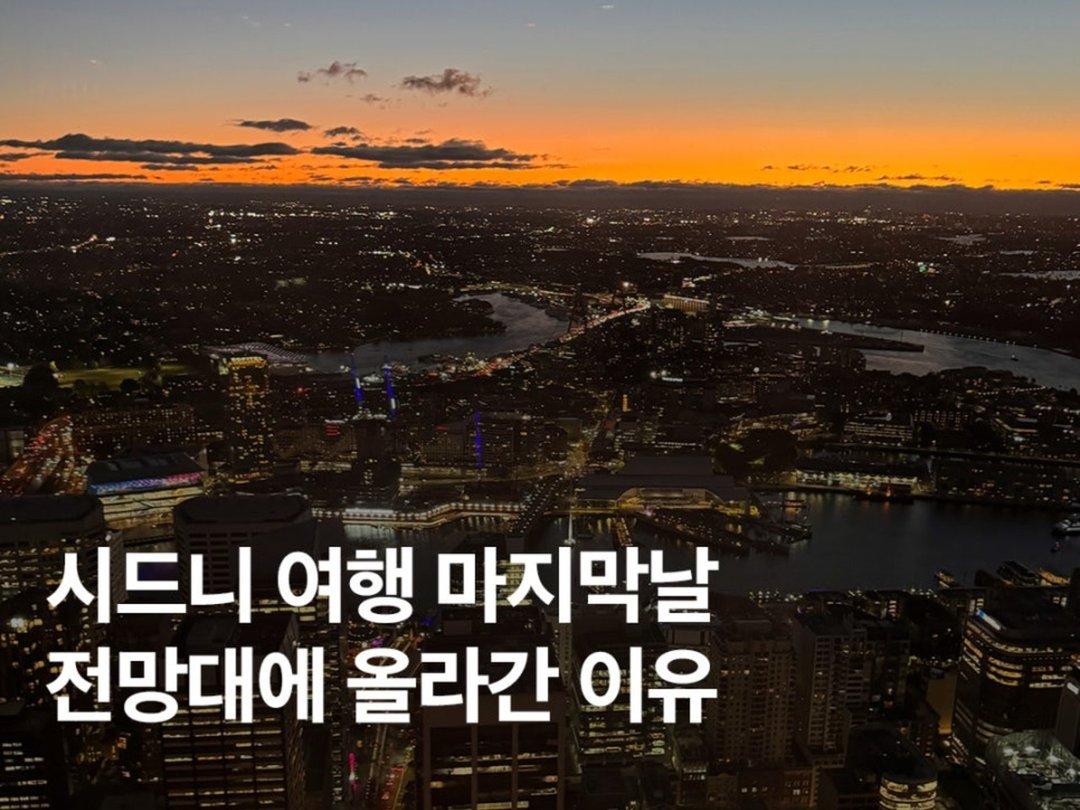 시드니 타워아이 전망대 선셋부터 야경까지! + 입장권 할인 꿀팁