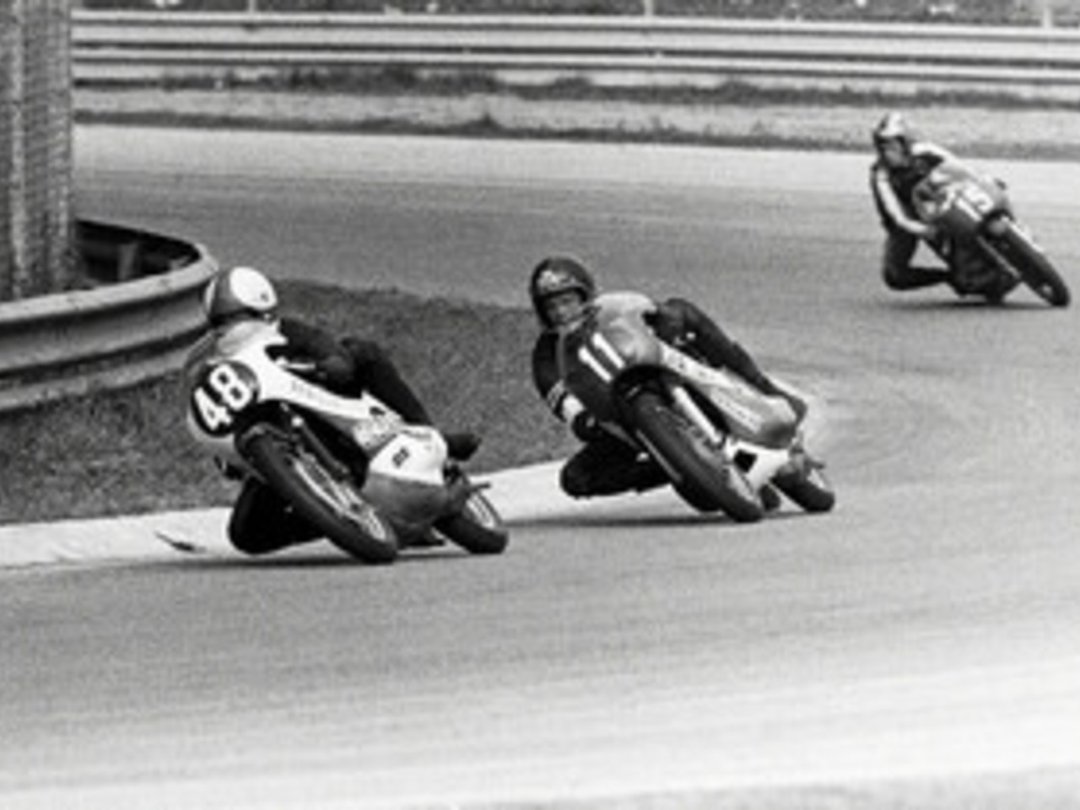 자유로 향하는 히치하이커를 위한 안내서