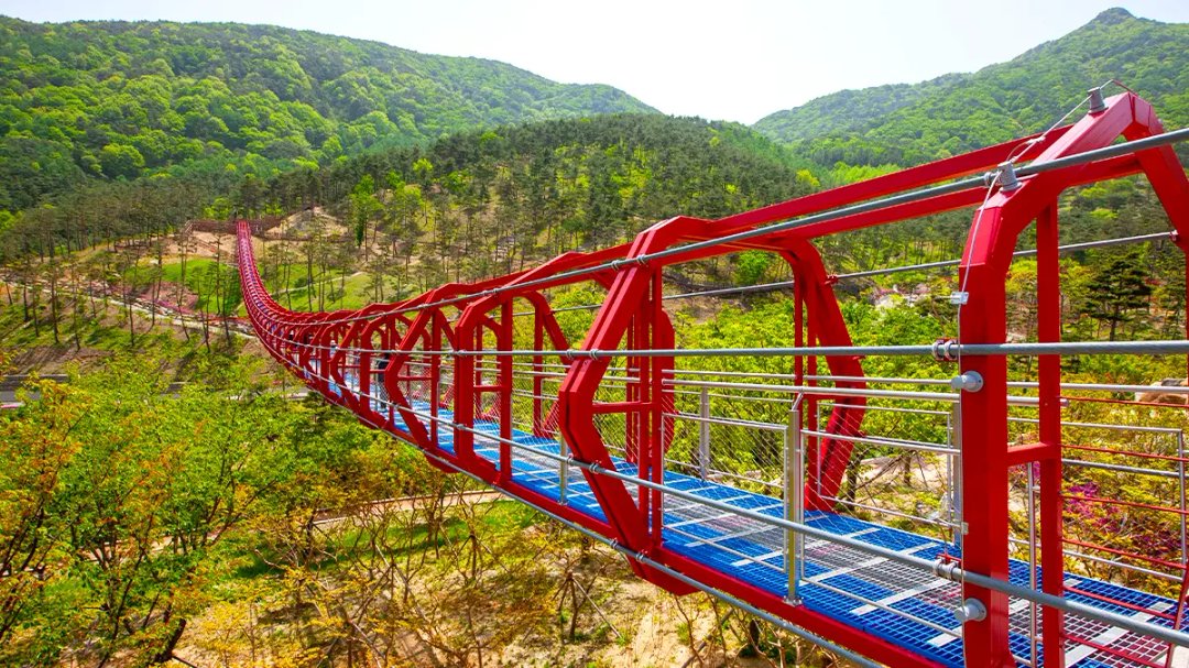 "다른 곳과는 차원이 다르다"... 70개 육각 터널로 만들어진 211m 무료 출렁다리