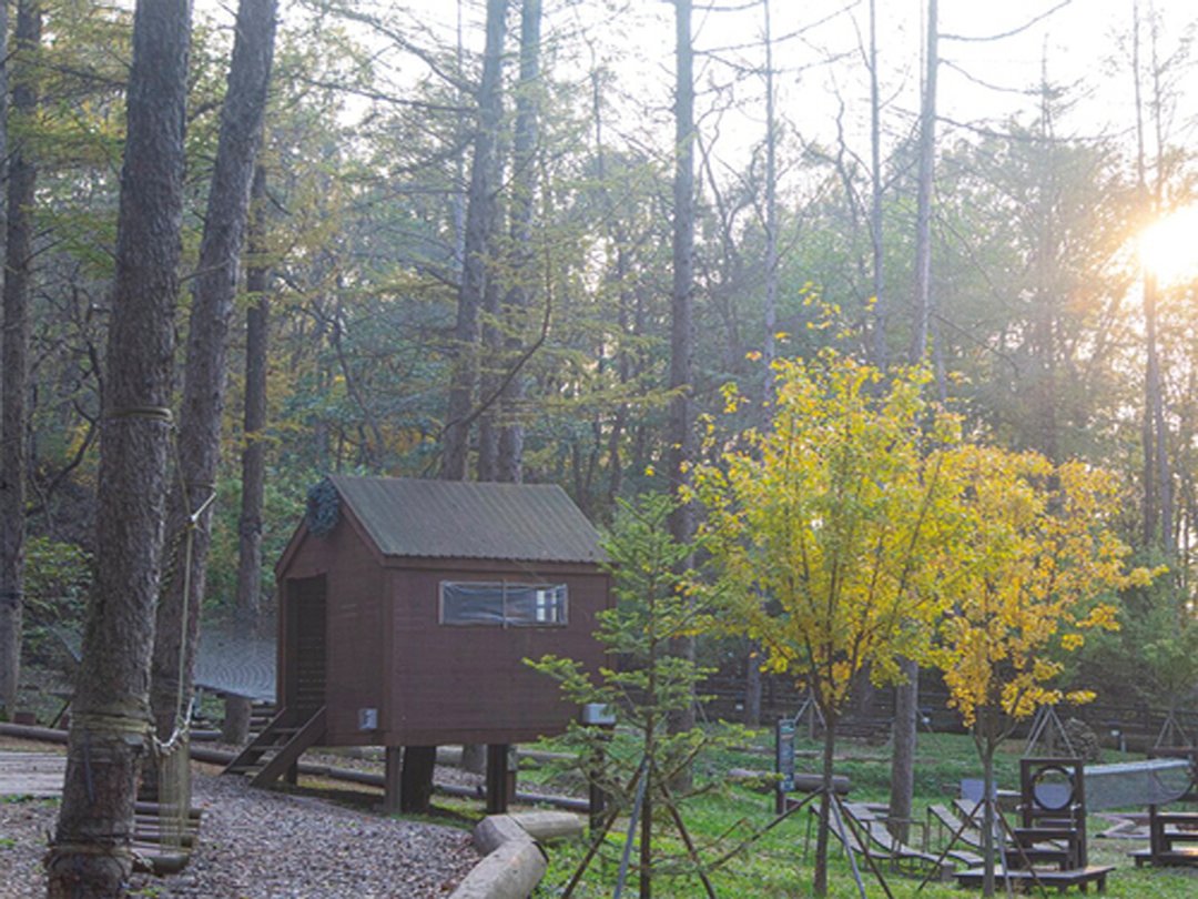 경기도 가볼 만한 숲길 명소…가을 숲길을 걸으며 즐기기