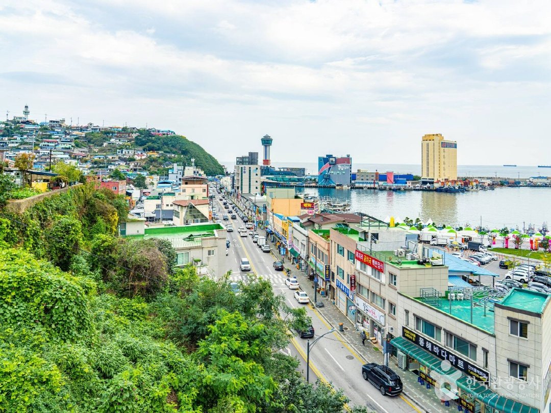 묵호, 걸으면서 즐기는 항구 소도시 여행