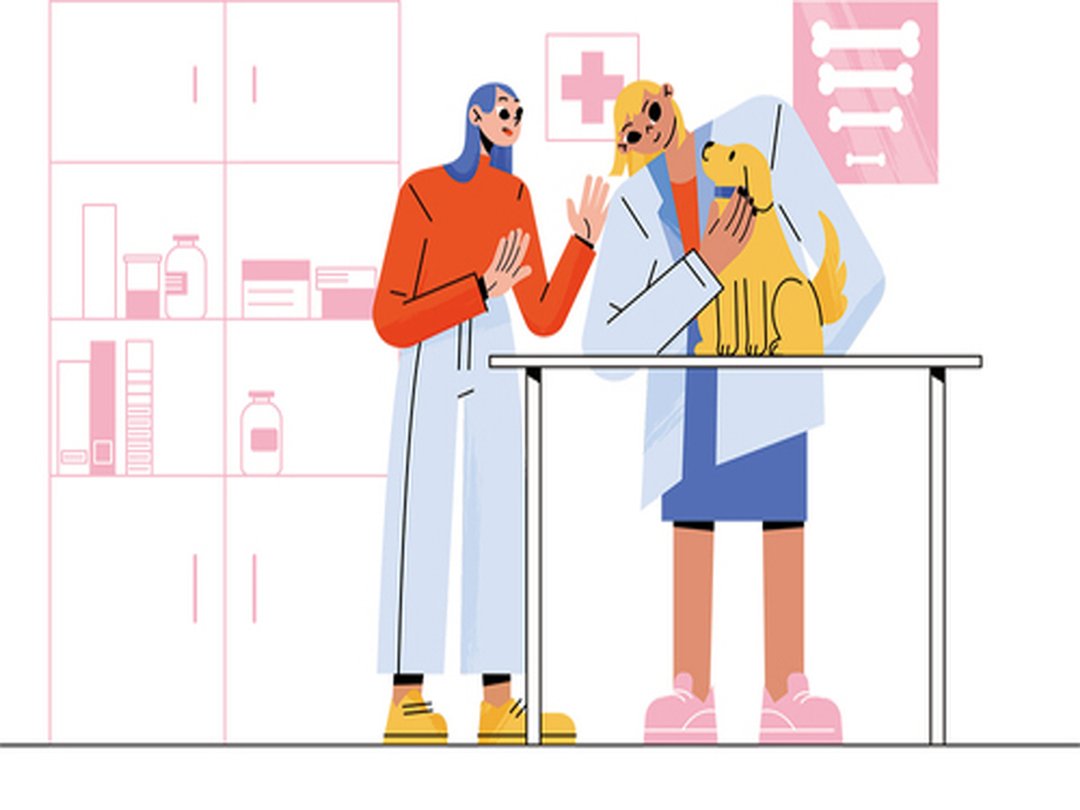 추울 때 더 살펴야 할 슬개골...반려동물 슬개골 탈구