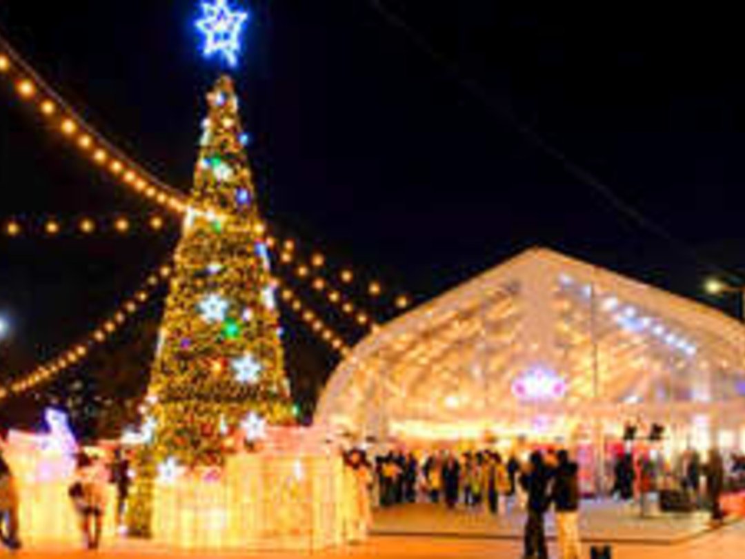 "작년에만 63만 명 몰렸습니다"... 크리스마스 마켓·봄꽃 돔 등 이색 무료 축제