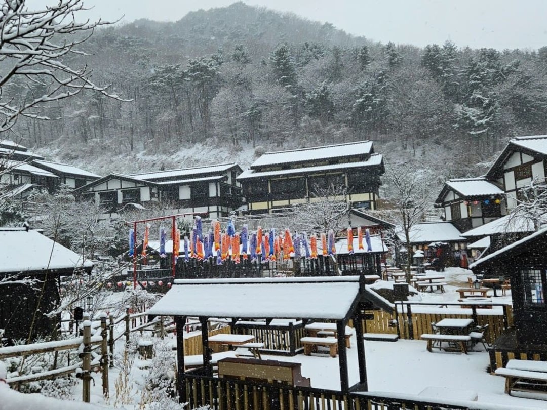 "여권 없이 일본에 온 느낌이에요" 한국이지만 일본 여행 느낌 완벽히 내는 국내 겨울 여행지